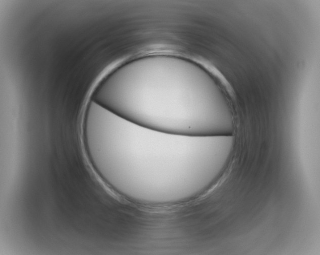 X0000114651333200910200953