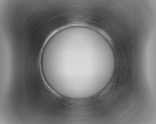 X0000114651334200910200953