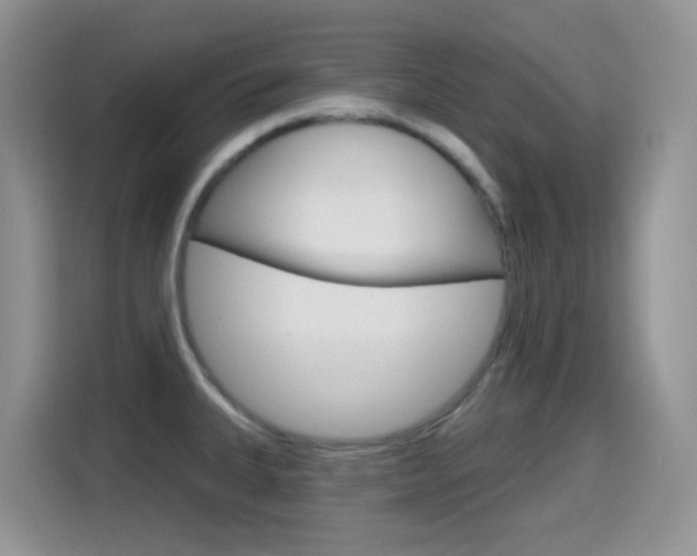 X0000114651335200910200953