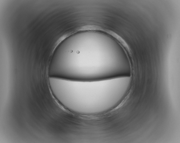 X0000114651337200910200953