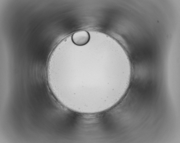 X0000114651338200910200953