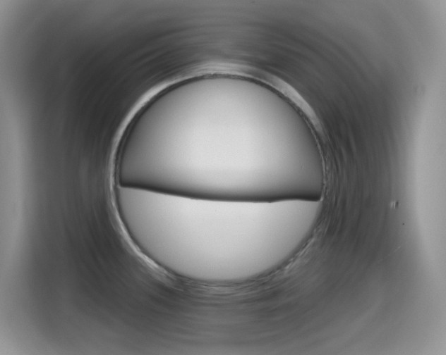 X0000114651339200910200953