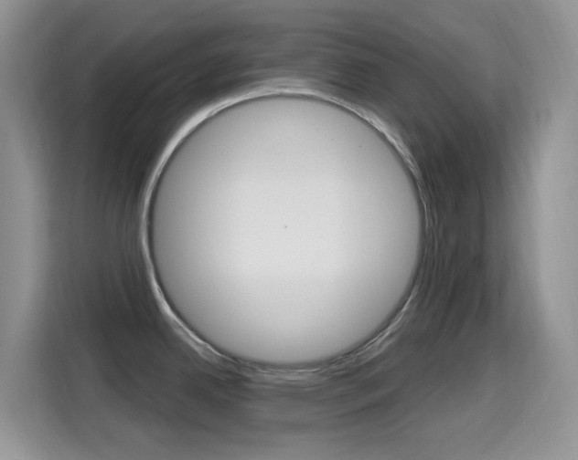 X0000114651342200910200953