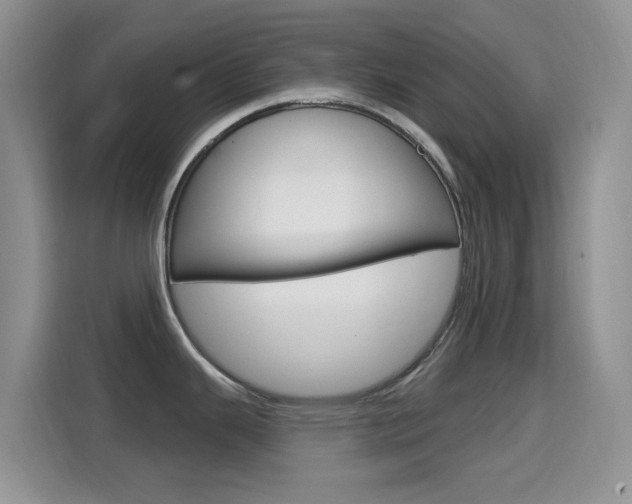 X0000114651343200910200953