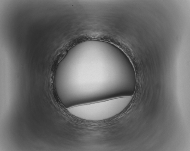 X0000114651349200910200952