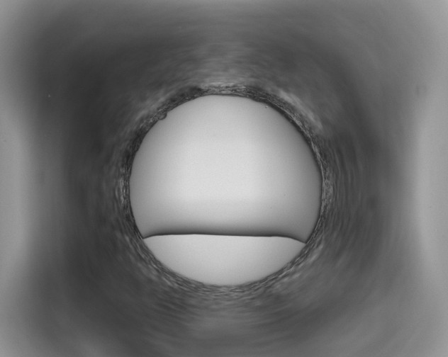 X0000114651350200910200952