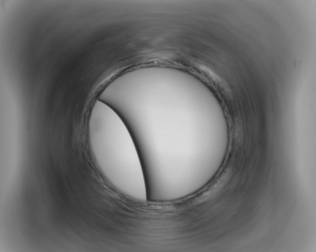 X0000114651354200910200952