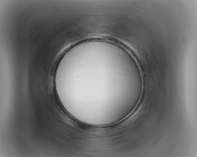 X0000114651355200910200952