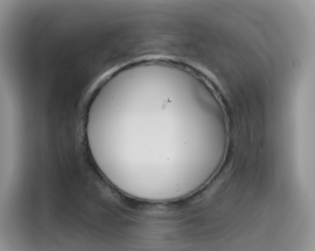 X0000114651359200910200952