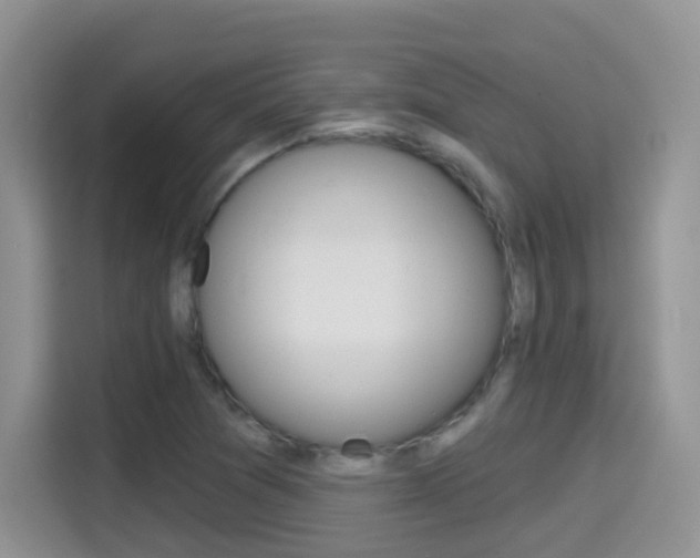 X0000114651361200910200952