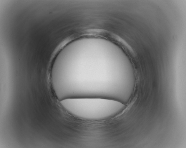X0000114651362200910200952