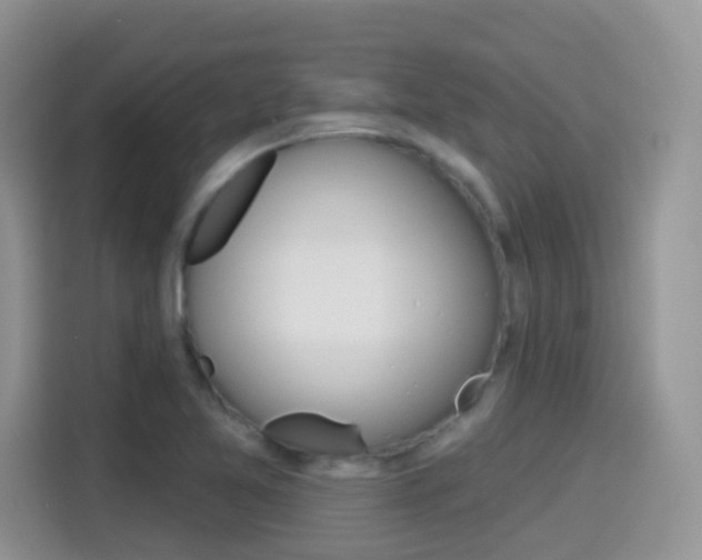 X0000114651365200910200952