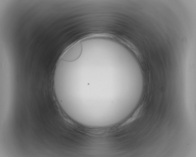 X0000114651369200910200952