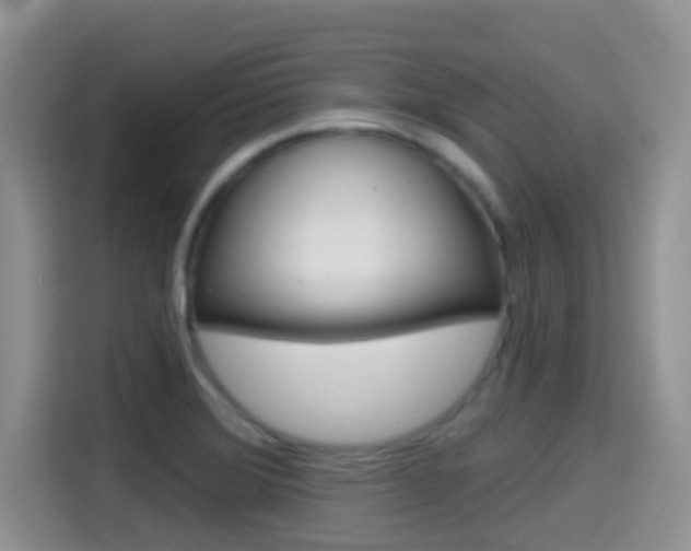 X0000114651372200910200952