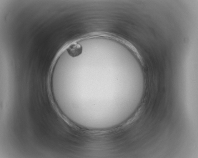 X0000114651373200910200952