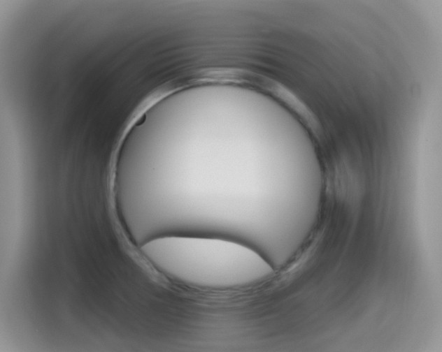 X0000114651378200910200952