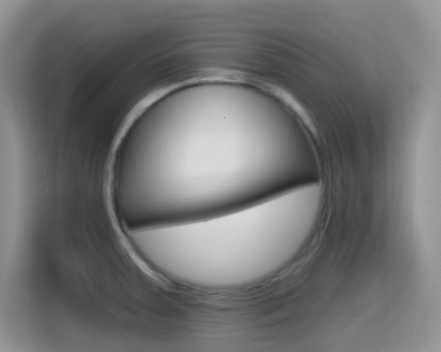 X0000114651379200910200952