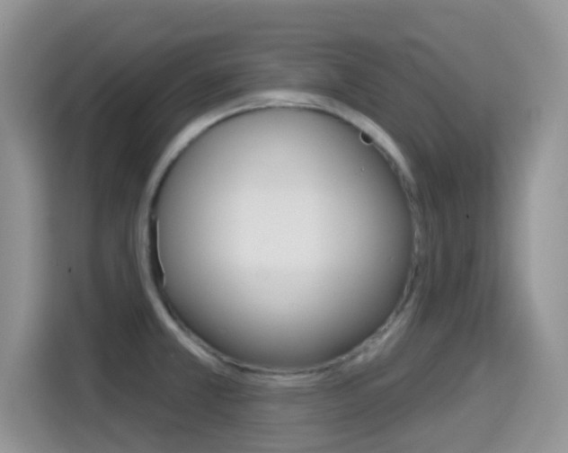 X0000114651381200910200952