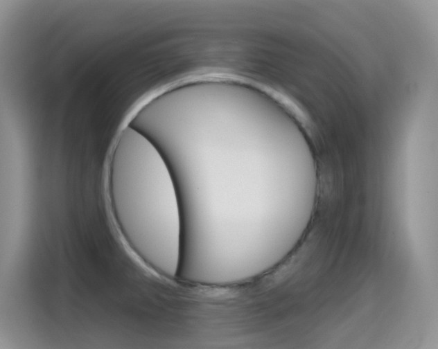 X0000114651382200910200952