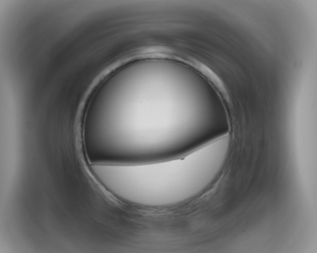 X0000114651384200910200952