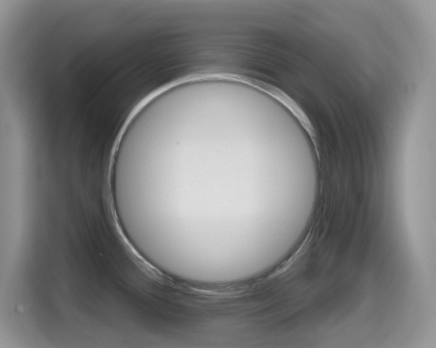 X0000114651388200910200952