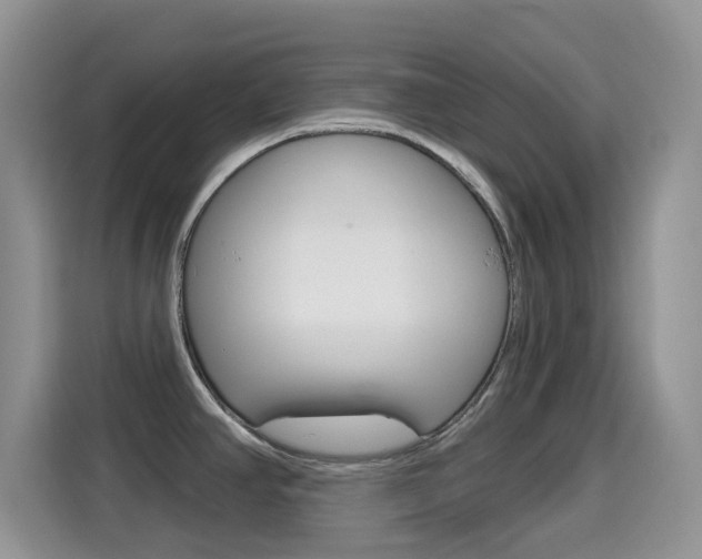 X0000114651390200910200952