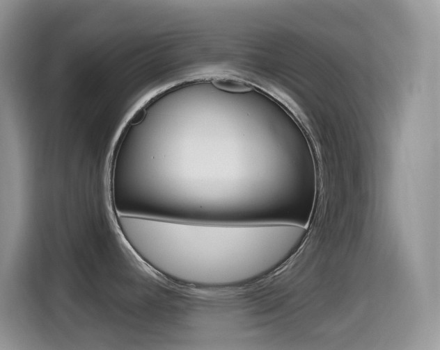 X0000114651392200910200952
