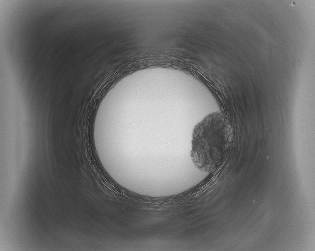 X0000114651393200910200951