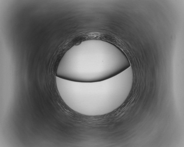 X0000114651394200910200951