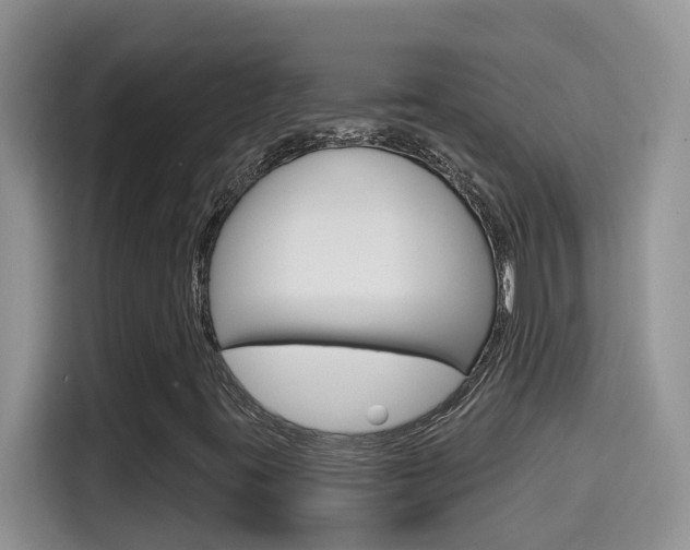 X0000114651395200910200951