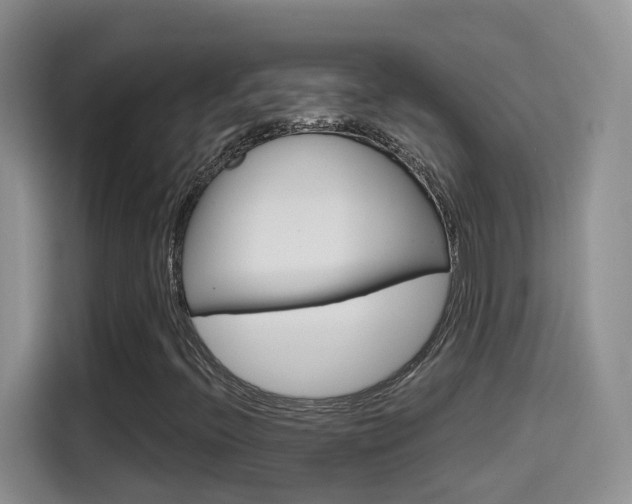 X0000114651396200910200951