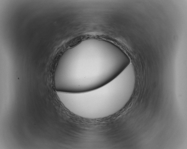 X0000114651398200910200951
