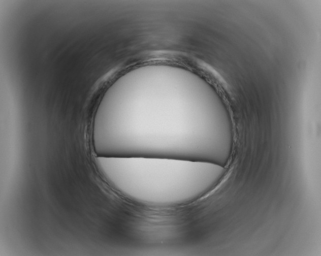 X0000114651403200910200951
