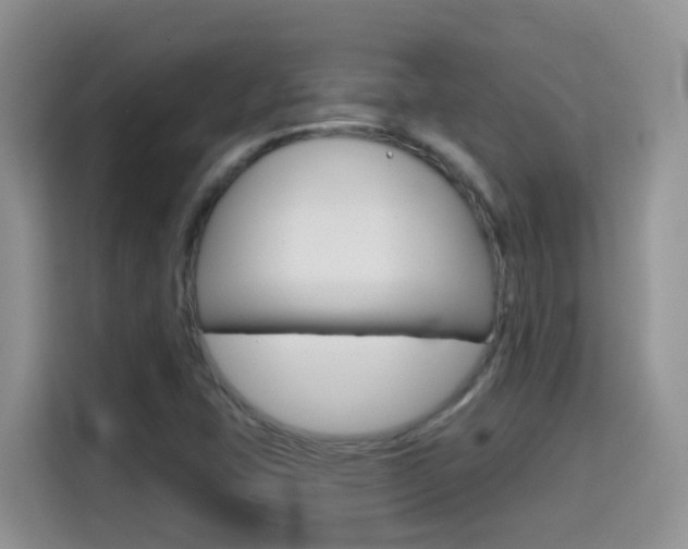 X0000114651407200910200951