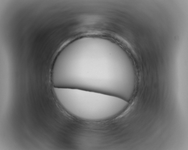 X0000114651409200910200951