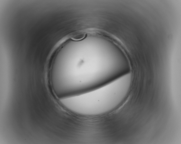 X0000114651410200910200951