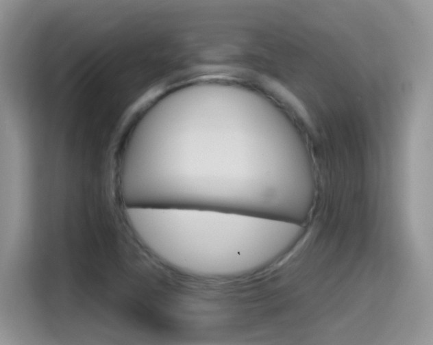 X0000114651411200910200951