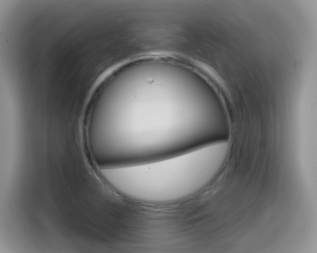 X0000114651412200910200951