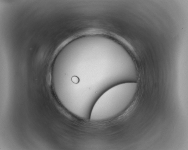 X0000114651413200910200951