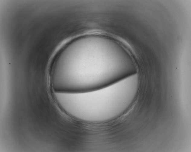 X0000114651414200910200951