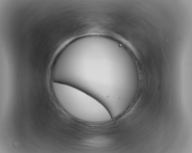 X0000114651415200910200951