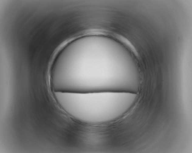 X0000114651419200910200952