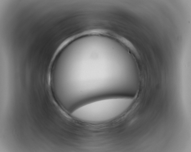 X0000114651420200910200952
