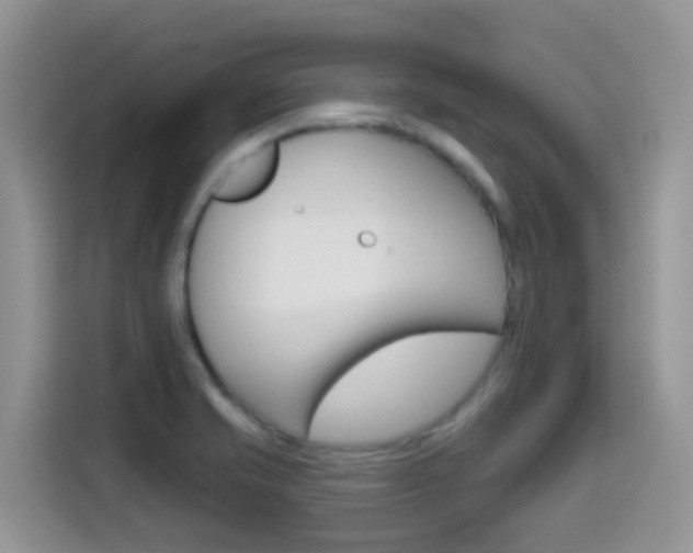 X0000114651421200910200952