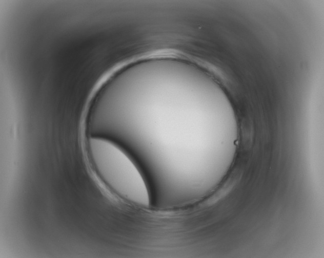 X0000114651422200910200952