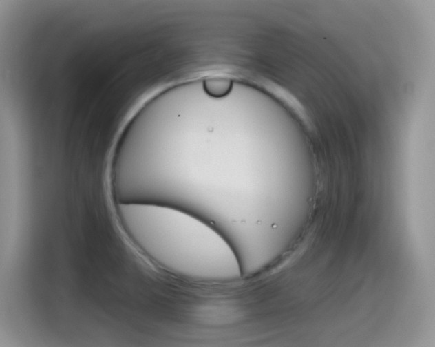 X0000114651423200910200952