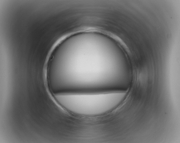 X0000114651424200910200952