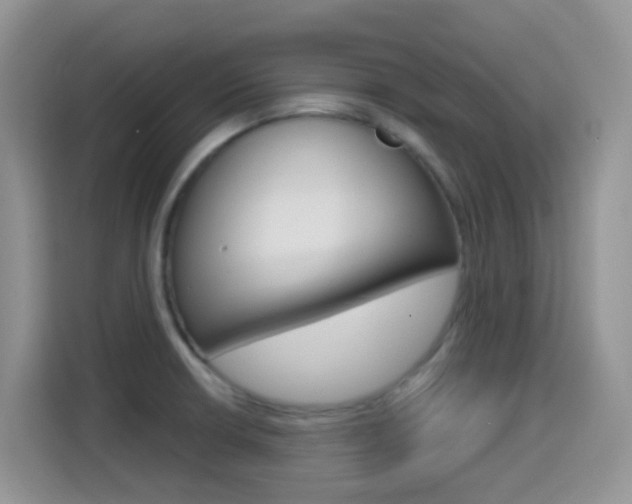 X0000114651426200910200952
