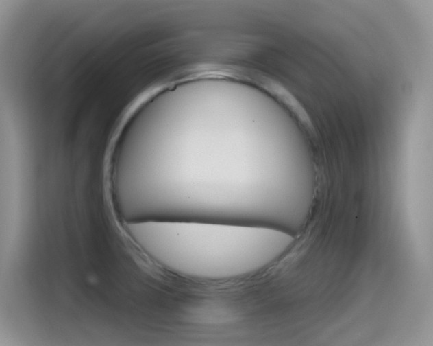 X0000114651427200910200952