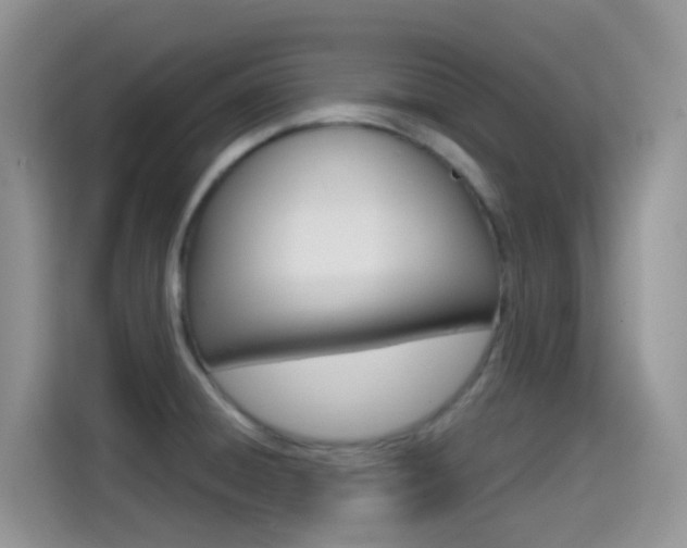 X0000114651428200910200952